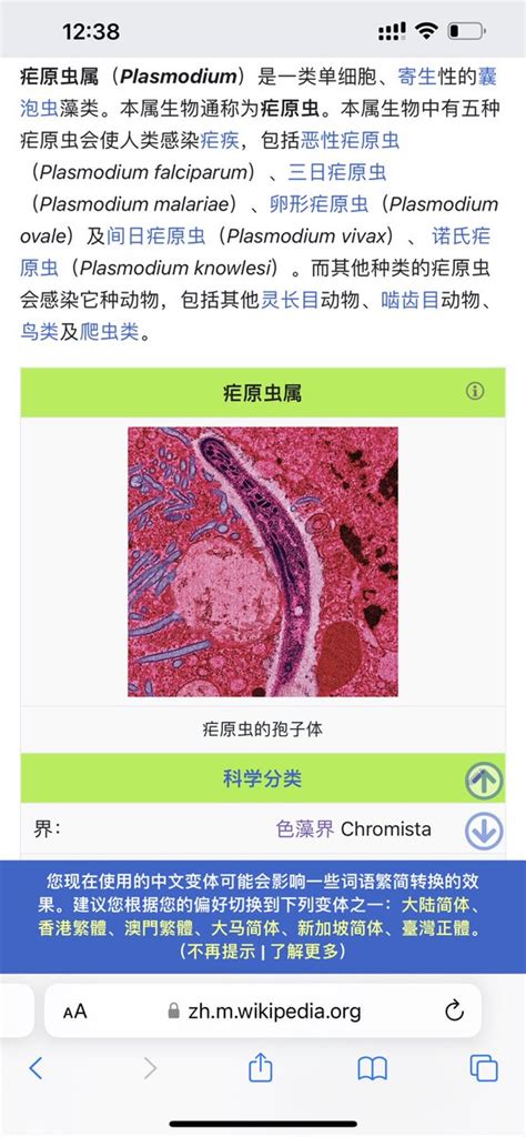 昨天和某人一起去食其家吃了顿饭你知道吗其实味增汤里的海带不是植物哦它属于色藻界的生物在进化的道路上相比植物界和动物界的生物它和疟疾