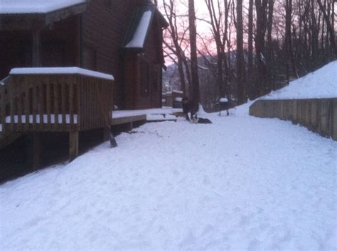 Top 10 Secluded Cabins Near Cades Cove, Tennessee - Updated 2024 | Trip101