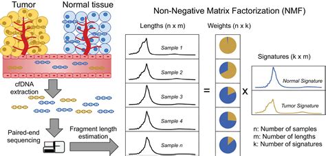 Unsupervised Detection Of Fragment Length Signatures Of Circulating