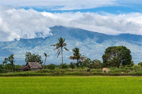 mga anyong lupa landforms kinds definitions