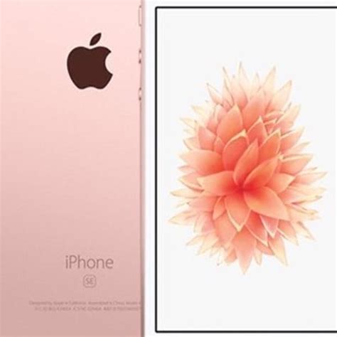 Iphone Apple Se Rose Gold Impec Vel Em Campinas Clasf Telefones