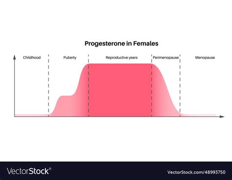 Hormones in pregnancy Royalty Free Vector Image