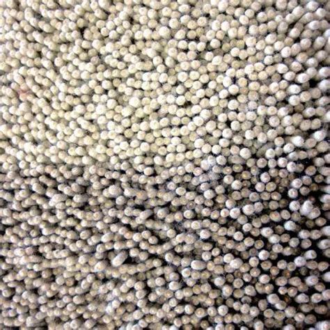 Shag Pile Rug Sh 2 Artisan Rugs Perth
