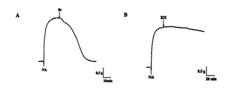 Dose Response Curve Of Ach In Intact Precontracted Aortic Rings N 9