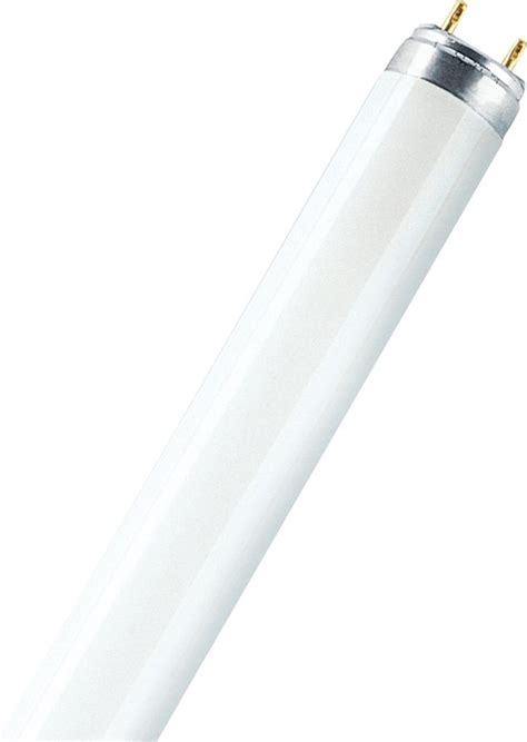 Osram T8 L 58W 865 1500mm Lumilux Daylight Bol