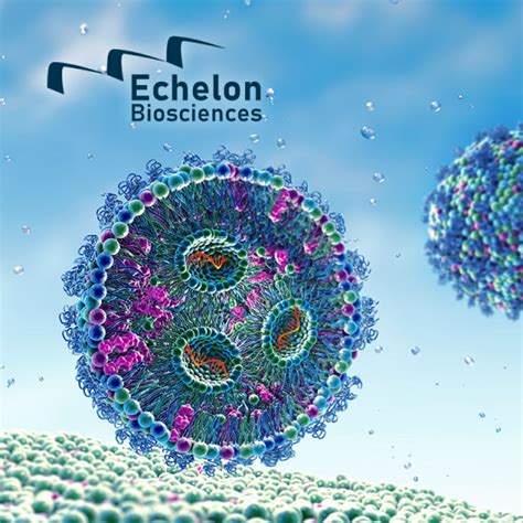 Lipid Nanoparticles For Rna Delivery News News Mobitec Molecular