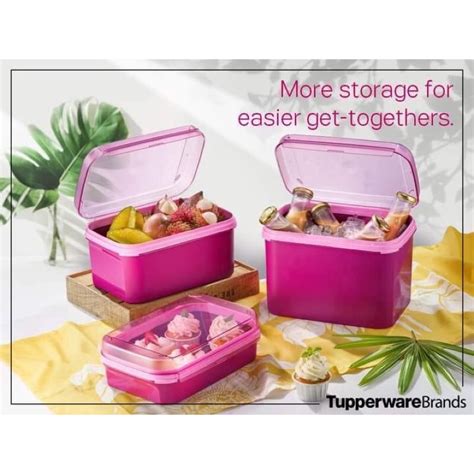 Tupperware Brands Ezy Rectangular Keeper Ml Ml L L L