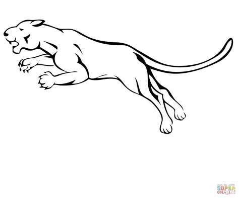 Attacking Mountain Lion Coloring Page Free Printable Coloring Pages