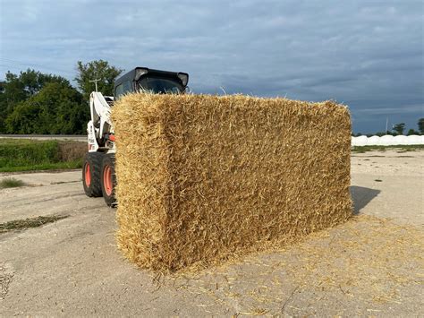 Golden Wheat Straw 1 000 Lb 6 String Bales CattleClub