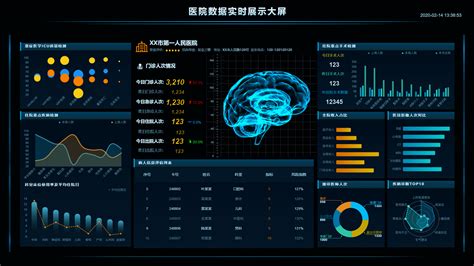 BluerOn 鹿站 数据大屏大数据可视化系统 cn