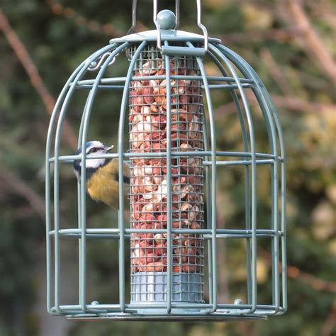 Nuttery Original Compact Squirrel And Predator Proof Nut Feeder N Ocnf