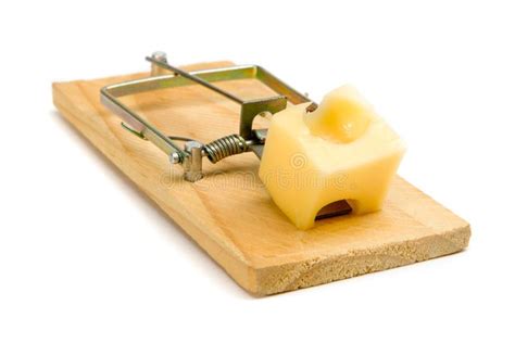 Mouse Trap with Cheese - Pest Control Image