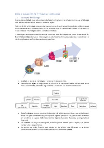 Citologia Pdf