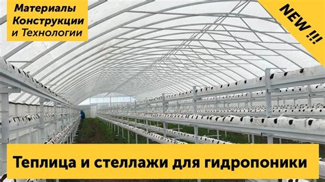 Теплица и стеллажи для гидропоники. Подробный обзор теплицы для ...