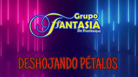 Grupo Fantasía De Punitaqui Mix Recopilaciones Grandes Éxitos 2 2021