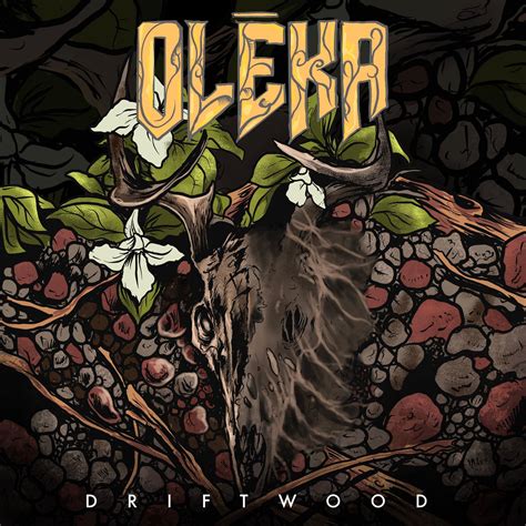 oleka driftwood recensione  anteprima disponibile dal