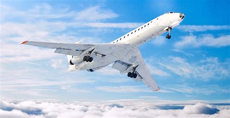 fly  fly  hypnotherapy marian cameron