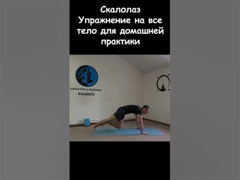 Скалолаз - упражнение на все тело для домашней практики - YouTube
