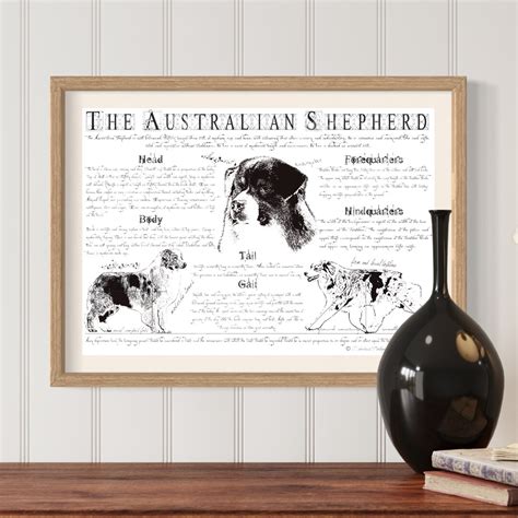 Australian Shepherd Breed Poster - Body Conformation - Vintage ...