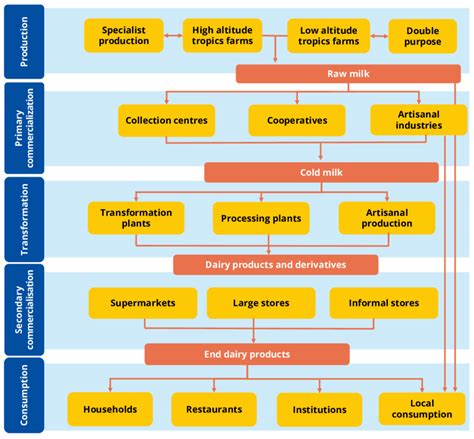 The Dairy Value Chain Download Scientific Diagram