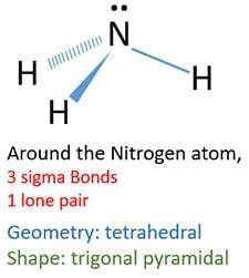 Ammonia (NH3) Molecule Shape, Geometry, Hybridization