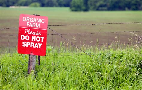 Organic Pesticides And Other Pest Control Techniques