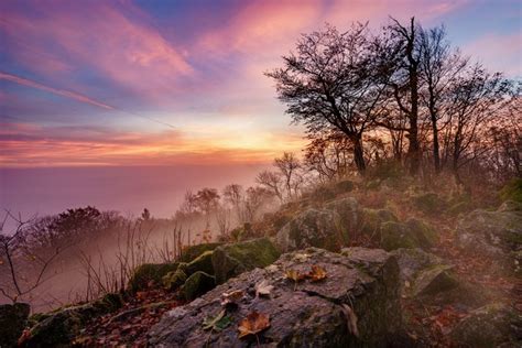 K K Germany Morning Sunrises And Sunsets Stones Trees Fog Hd