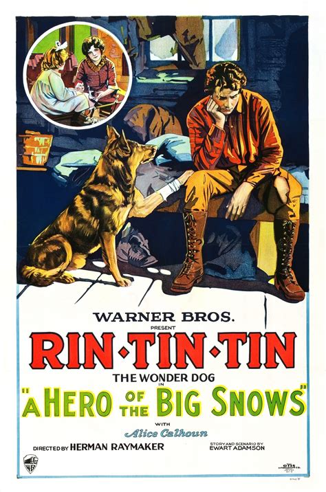 Rin Tin Dog 5