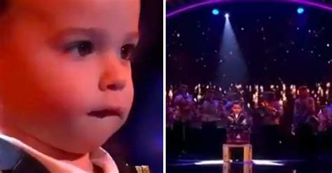 Este Menino De 2 Anos Consegue O Passe De Ouro Do Got Talent Descubra