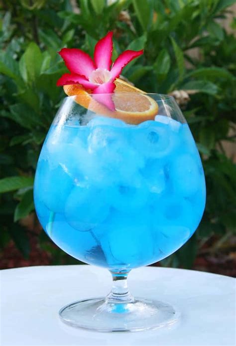 10 Most Popular Tropical Drink Recipes • Winetraveler