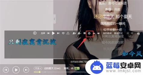 酷狗歌词怎么显示在屏幕上电脑版酷狗音乐怎么开启桌面歌词显示 蓝莓安卓网