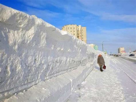 Значение городов Крайнего Севера севера для экономики и их проблемы