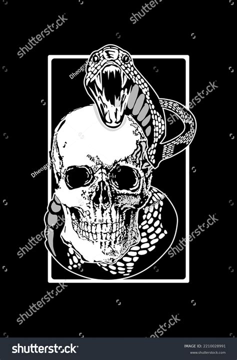 Illustration Snake Wrapped Around Skull Stock Vector Royalty Free