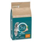 Purina One Crocchette Per Gatto Risparmia Col Prezzo Bitiba