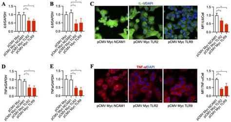 Antibodies Free Full Text Tlr2 And Tlr9 Blockade Using Specific