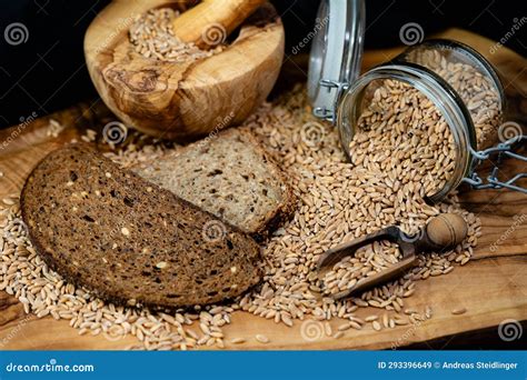 Triticum Aestivum Spelta Stock Image Image Of Ingredient 293396649