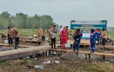 Pt Kilang Pertamina Internasional Ru Iii Plaju Bangun Taman