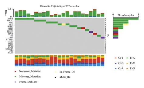 Identification Of 19 Crgs And Their Genetic Mutational Landscape A Download Scientific