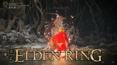 【elden Ring】 腐敗の女神、マレニア レベル1でノーダメージ攻略 Youtube