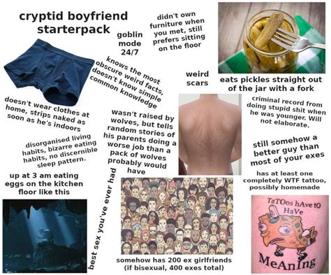 Cryptic Boyfriend Starterpack R Starterpacks Starter Packs Know