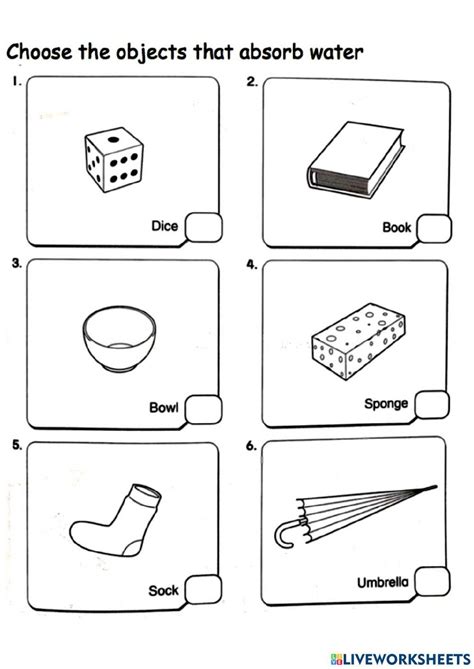 Water Absorbent Objects Non Water Absorbent Objects Worksheet Live
