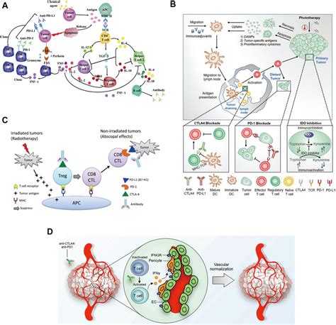 Frontiers Recent Advances In Nano Drug Delivery Systems For