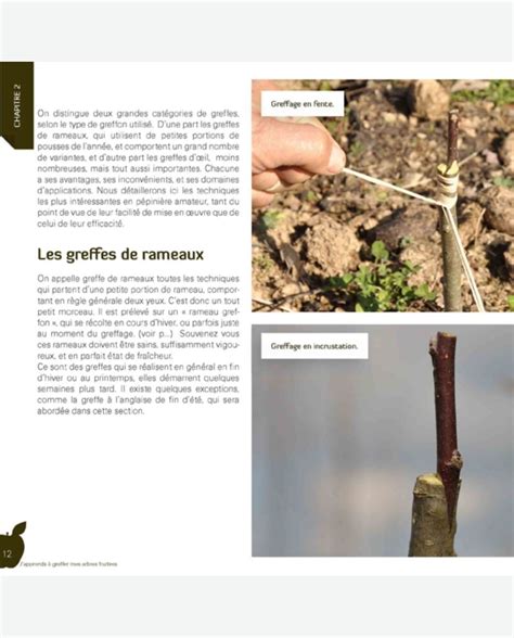 Japprends Greffer Mes Fruitiers Pour Des R Coltes Abondantes Et