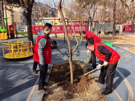 市委政法委开展“学雷锋文明实践我是行动者”社区植树志愿服务活动 淄博文明网