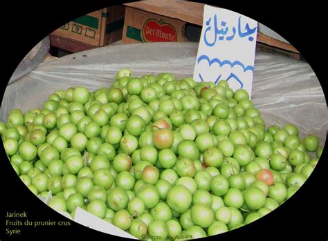 Prunes Verts Immatures Jarinek جارينك أو خوخ أخضر