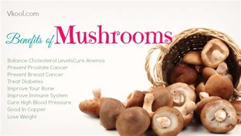 Top 13 Health Benefits Of Mushrooms