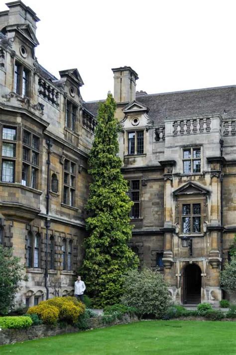 The 5 best cambridge colleges you must visit – Artofit