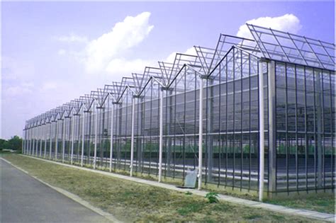 Agricultural Vegetable Tunnel Multi Span Plastic Polycarbonate Sheet PC