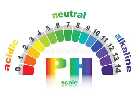 Escala Del Valor De Ph Para Las Soluciones Cidas Y Alcalinas