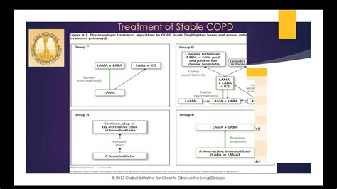 Copd A Review Of What S New In The Updated Gold Guidelines Asthma Treatment Copd Asthma Cure